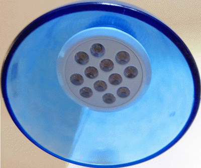 P1080952.gif