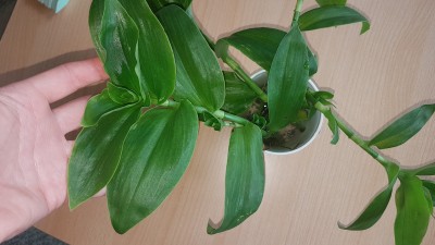20180914_113029.jpg