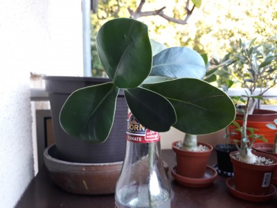 20180920_182832.jpg