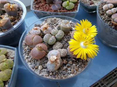 20181010_172749.jpg