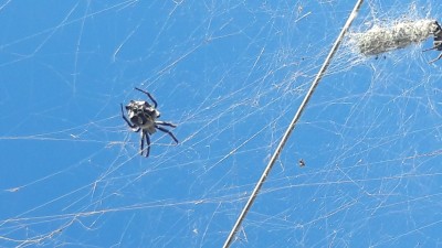 20181013_112715.jpg