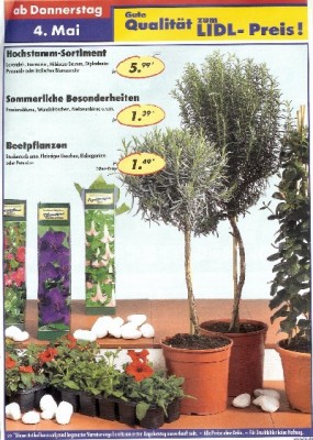 Lidl.jpg