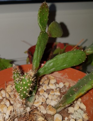 20181202_135945.jpg