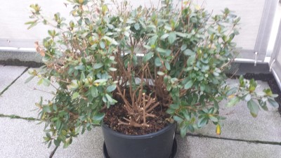 20181203_144229.jpg