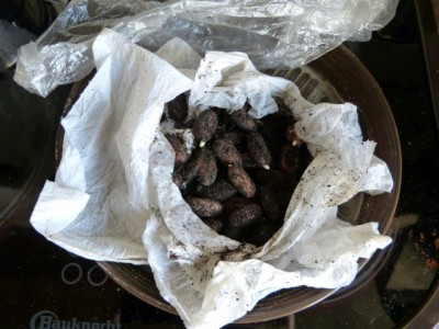 cacaotrees2.jpg