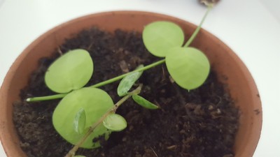 20181230_123659.jpg
