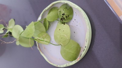 20181230_123629.jpg