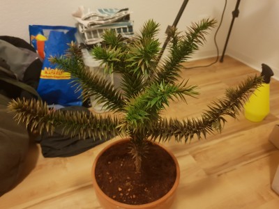 20190106_190451.jpg