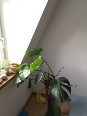2019-01-08 11.12.35.jpg