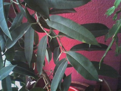 09-12-07_1032.jpg