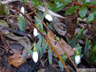 20190202_02.JPG