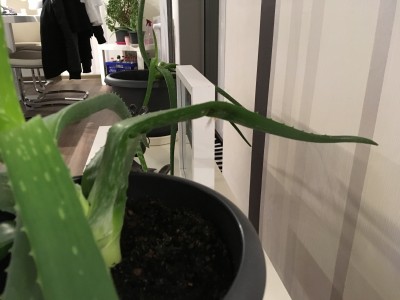 image00002.jpeg