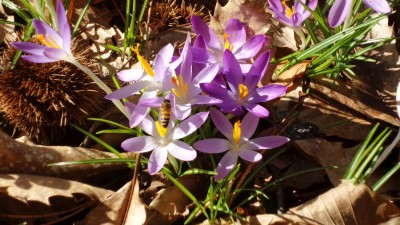 WhatsApp Image 2019-02-14 at 13.22.12.jpeg