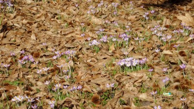 WhatsApp Image 2019-02-14 at 13.25.32.jpeg