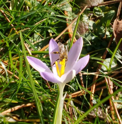 WhatsApp Image 2019-02-14 at 13.23.57.jpeg