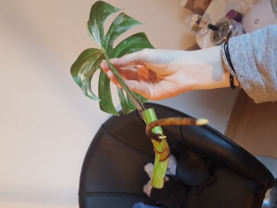 20190216_102516.jpg