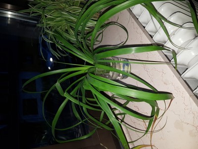 20190212_074022.jpg