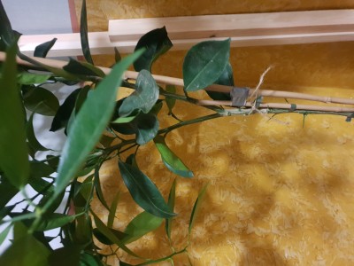 20190218_185854.jpg