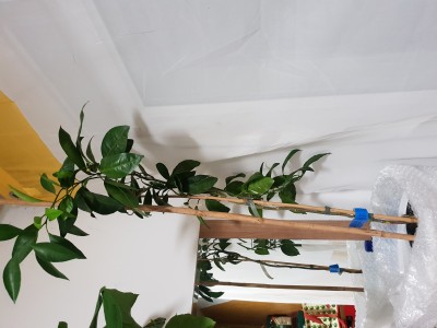 20190218_185804.jpg