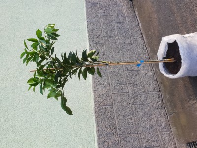 20190219_160028.jpg