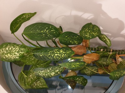 20190301_185526.jpg