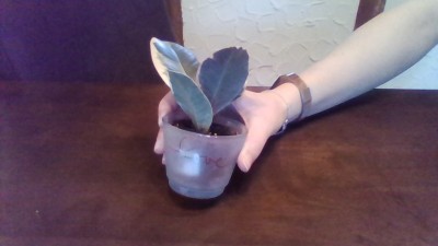 WIN_20190305_16_39_00_Pro.jpg