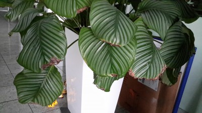 20190306_152638.jpg