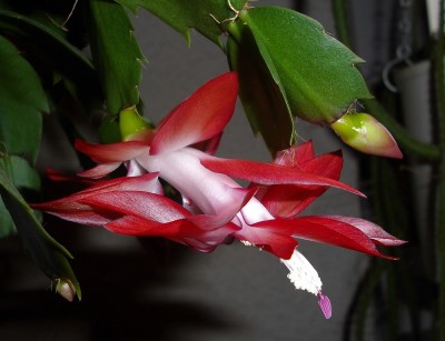 IMGP9326.JPG