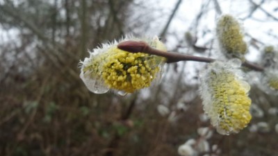 WhatsApp Image 2019-03-01 at 12.43.00.jpeg