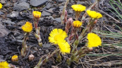 WhatsApp Image 2019-03-12 at 17.24.38.jpeg