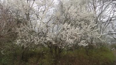 WhatsApp Image 2019-03-12 at 17.24.39.jpeg