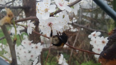 WhatsApp Image 2019-03-15 at 11.58.21.jpeg