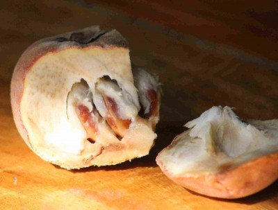 Früchte- Sri Lanka Apfel - Beluda 2.jpg