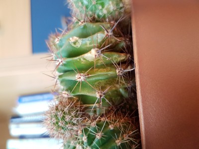20190318_150251.jpg