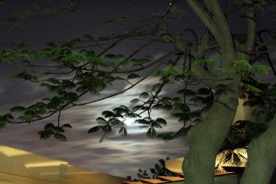 mond.jpg