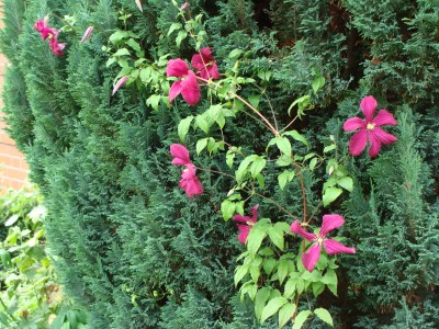 DSC01843.JPG
