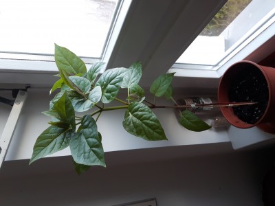 20190325_181001.jpg
