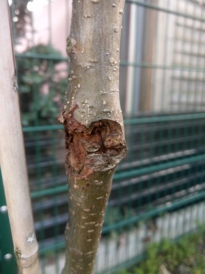IMAG0523.jpg