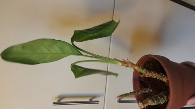 20190328_165850.jpg