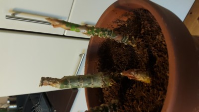 20190328_165827.jpg