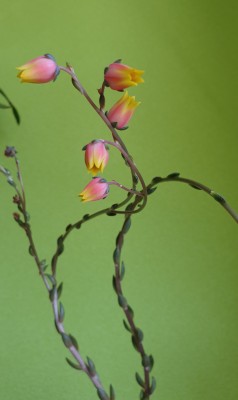 20190421_164211.jpg
