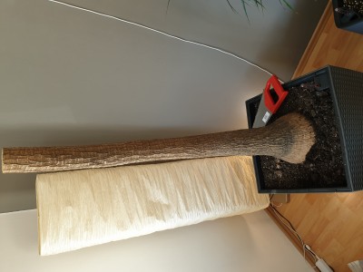 20190422_143123.jpg