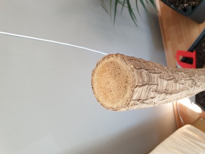 20190422_143135.jpg