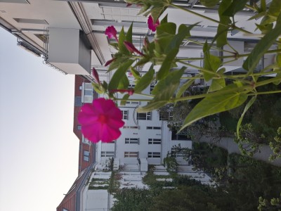 20190424_200438_Richtone(HDR).jpg
