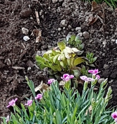 IMG_20190426_025719.jpg