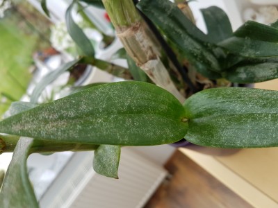 20190427_113335.jpg