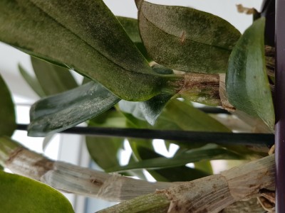 20190427_113404.jpg