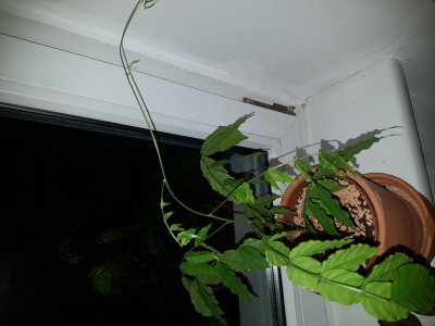 2019-04-30 22.55.32.jpg