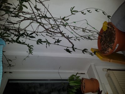 2019-04-30 22.56.23.jpg