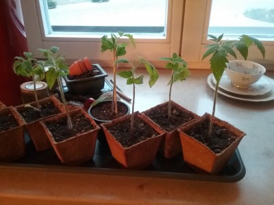 20190502_202719.jpg